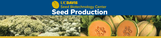 Course banner for Seed Production