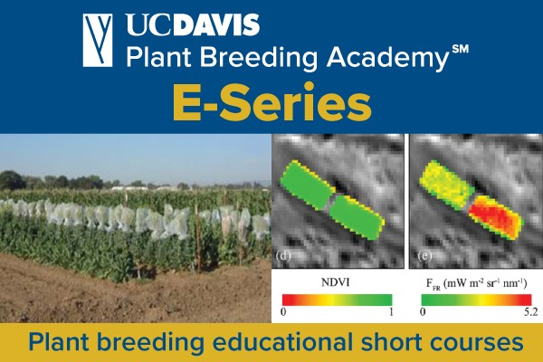 UC Davis Plant Breeding Academy E-Series