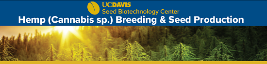 Hemp (Cannabis sp.) Breeding & Seed Production course banner