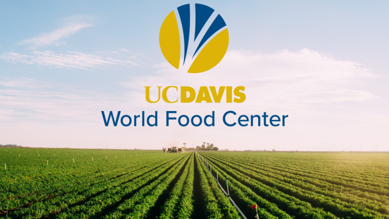 Allen Van Deynze participates in Introduction to Food Innovation video discussion, hosted by the World Food Center