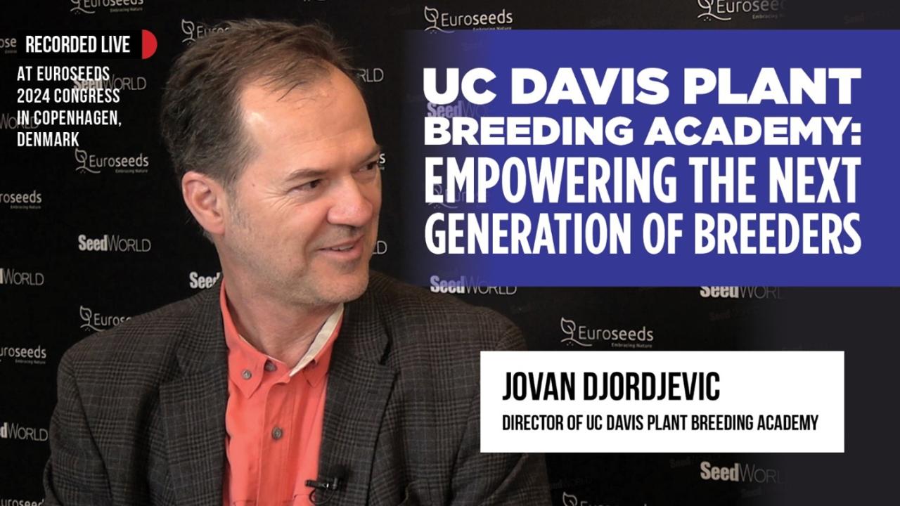 Jovan Djordjevic interview