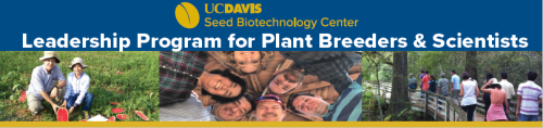 course banner for innovate and strategize: vegetables