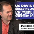 Jovan Djordjevic interview