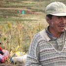 Solution for Poverty Alleviation